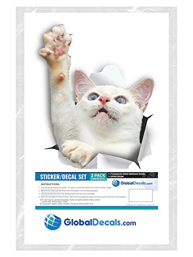 Adhesivos 3D de gatos (Paquete de 2)