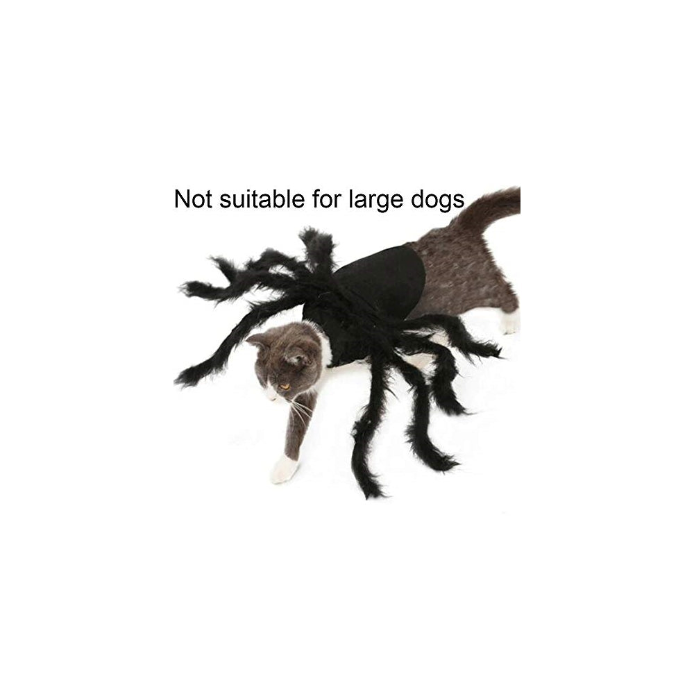 Disfraces de araña para perro y gato talla S