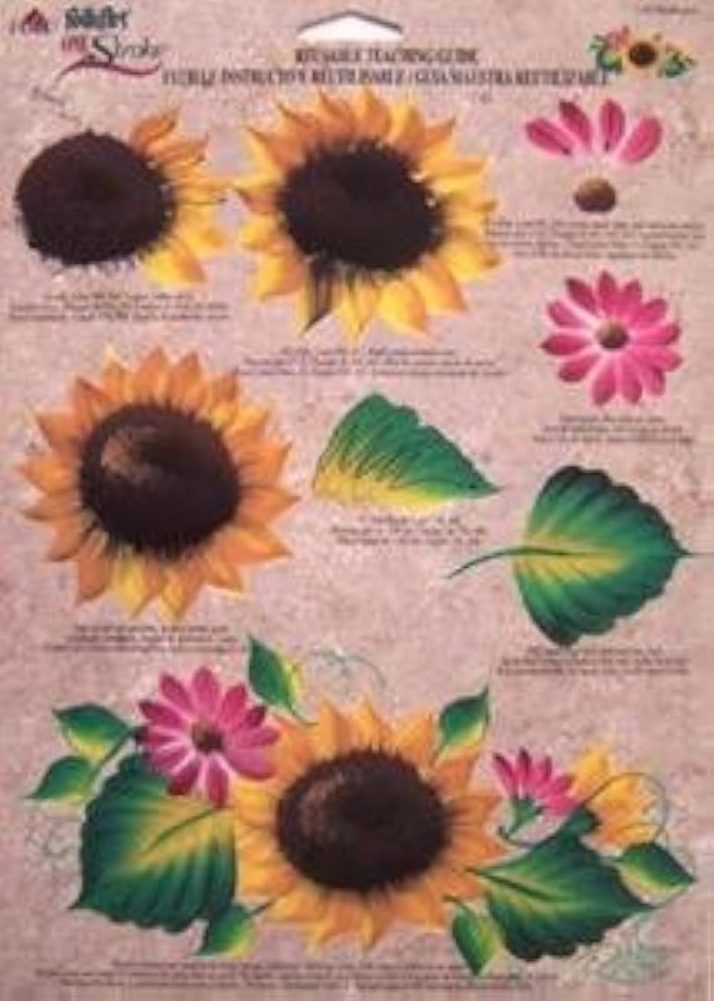 Plaid Arte Popular una pasada reutilizable guía de enseñanza