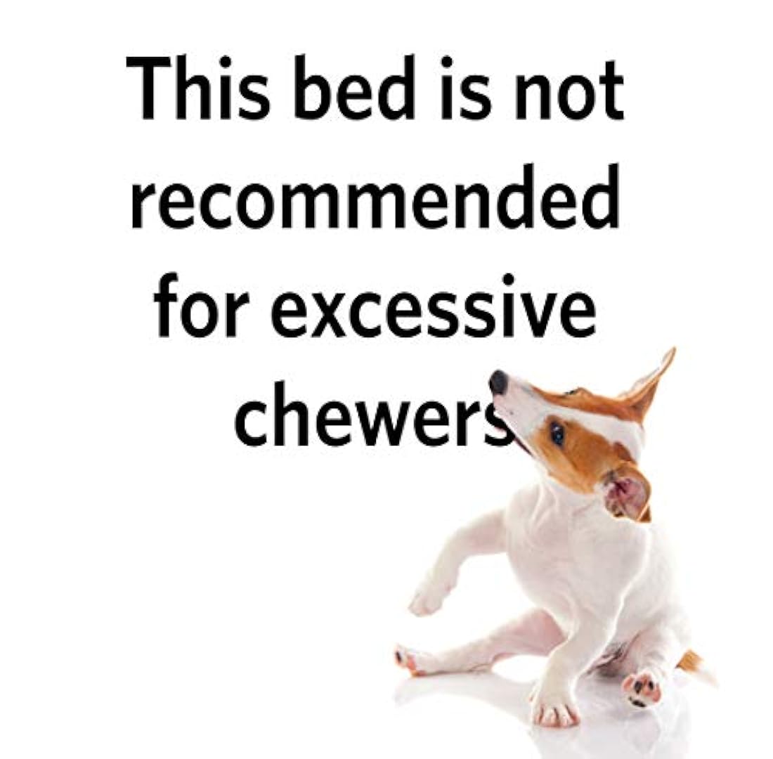 Cama para mascotas con estampado reversible de patas