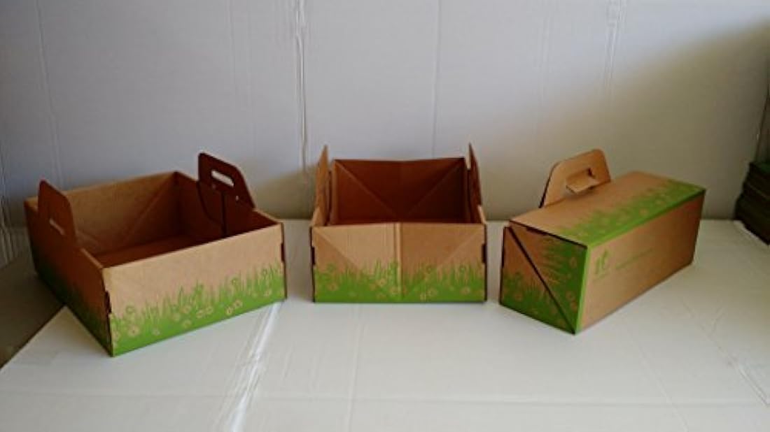 Cajas de arena de diez segundos para gatos