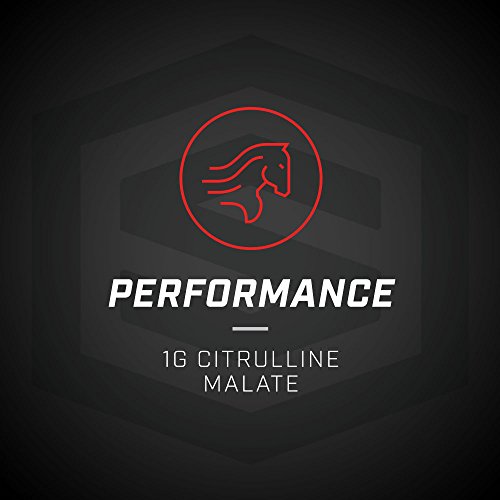 Scivation Xtend BCAA Powder Aminoácidos de cadena ramificada