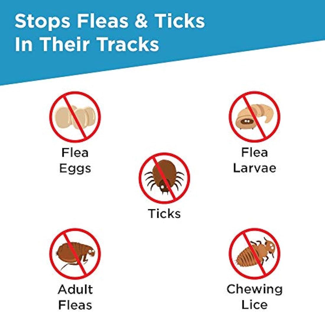 Tratamiento contra pulgas y garrapatas para perros