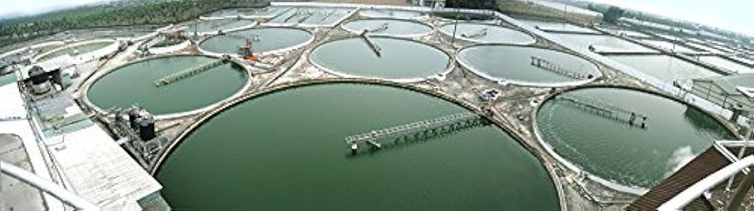 Spirulina orgánica en polvo Good Natured Chlorella 50/50