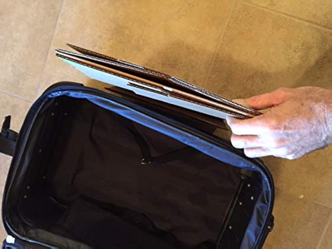 Cajas de arena de diez segundos para gatos