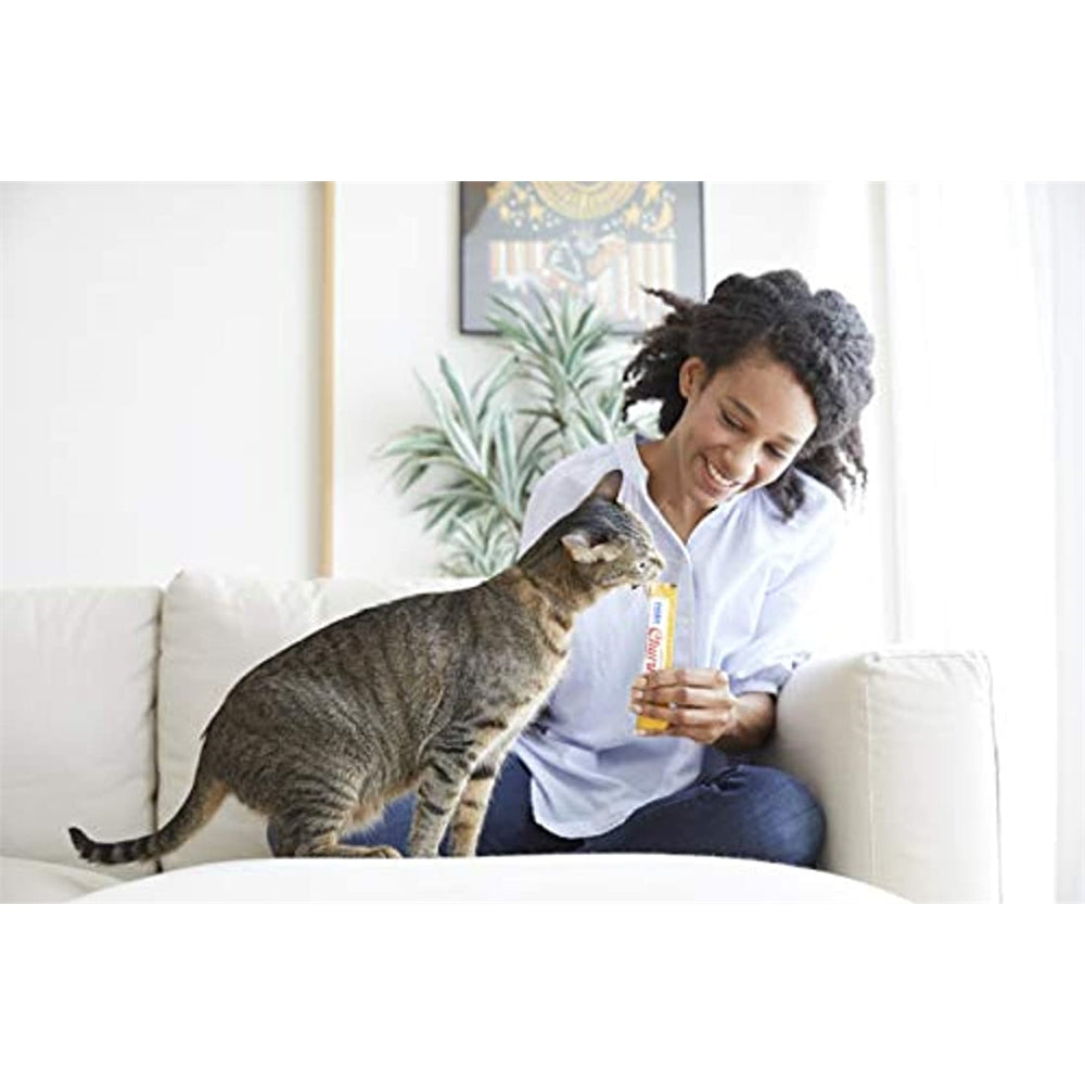 Alimento Churu Skin & Coat Natural 4 sabores 16 tubos