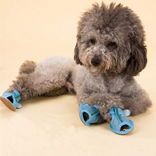 Hemobllo Zapatos de verano para perro, zapatos de malla transpirables para perro, sandalias antideslizantes para mascotas, protectores de patas de perro, para mascotas, perros pequeños, gatos, cachorros (4 unidades, azul) - Talla 1