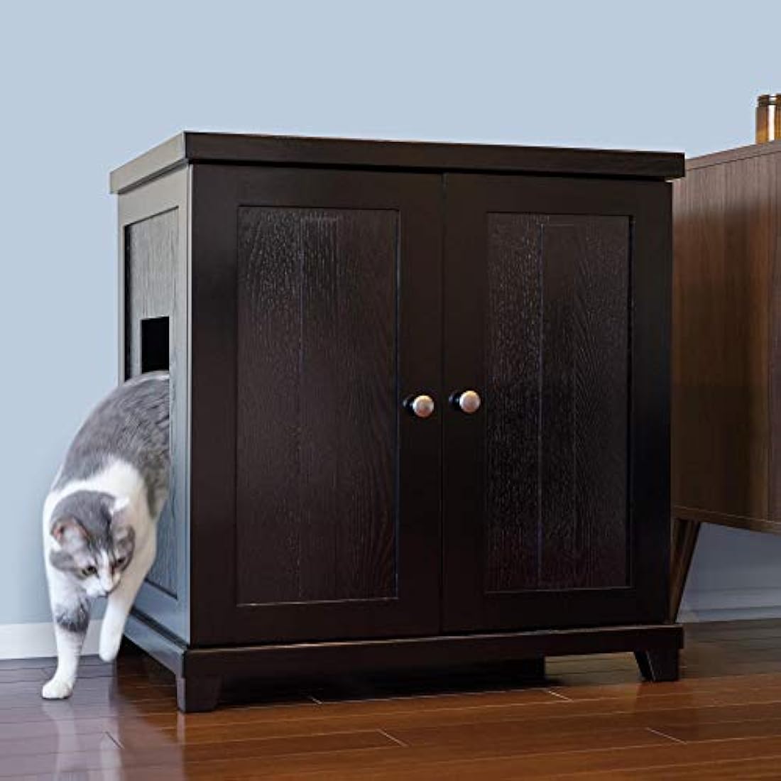 Caja de arena para gatos con bandeja de arena oculta