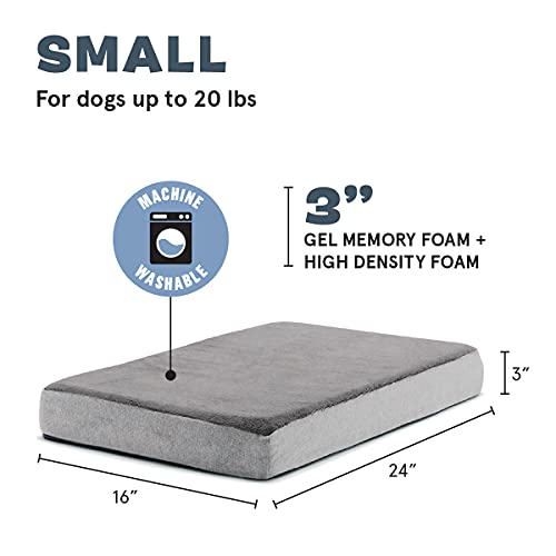 Barkbox Cama para perro con plataforma de espuma viscoelástica, colchón de felpa para alivio ortopédico, lavable a máquina con funda extraíble y forro resistente al agua, incluye juguete chirriador