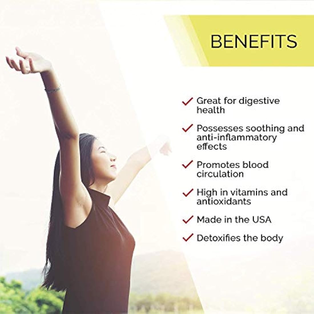 resbaladiza Elm Tintura alcohol-free Extracto de líquido