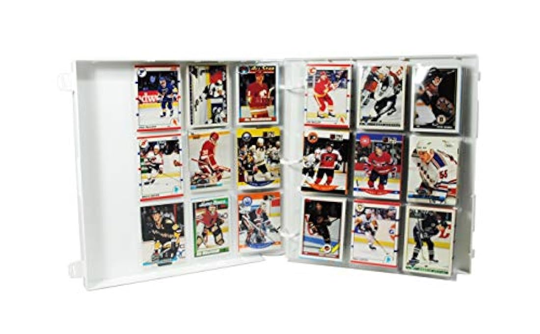 Carpeta de 10 hojas de cartón de la serie Platinum