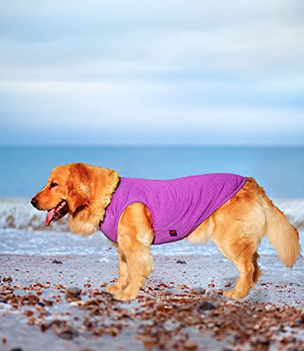 CAMISAS de verano para perro, ropa transpirable de secado rápido para mascotas, chaleco sin mangas, ligero y elástico para perros pequeños, medianos y grandes