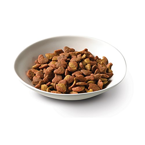 Comida seca gourmet para gatos con pollo salado y pavo