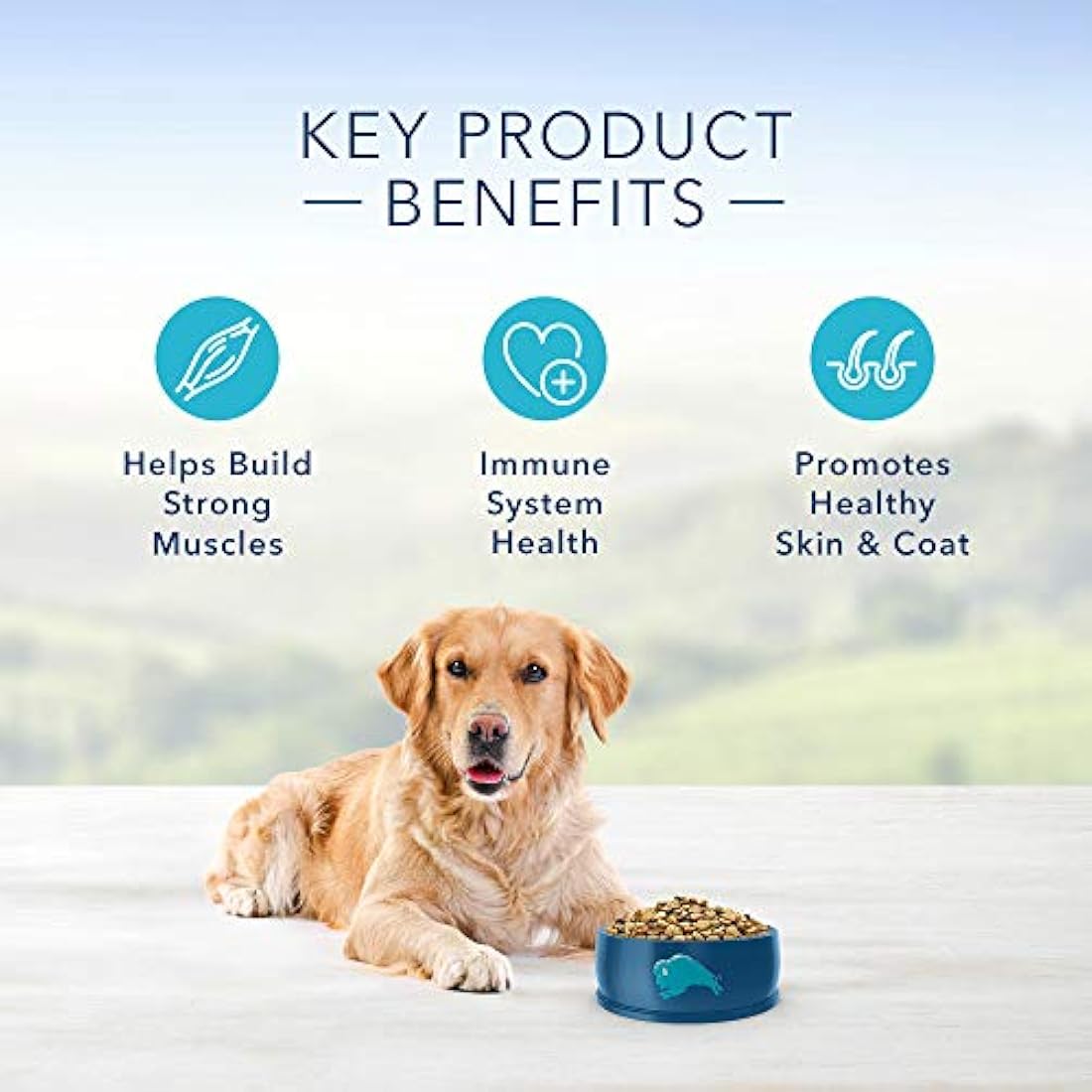 Protection Formula Alimento seco natural para perros adultos