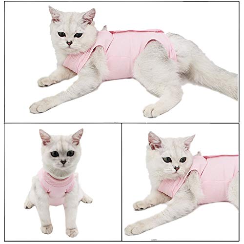 Traje de recuperación de gatos para heridas abdominales o enfermedades de la piel, alternativa transpirable de cuello electrónico para gatos y perros, después de la cirugía, uso antilame heridas