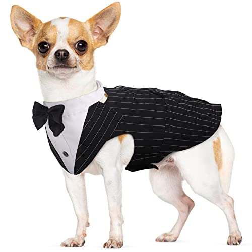 Conjunto de disfraz de esmoquin para perro pequeño