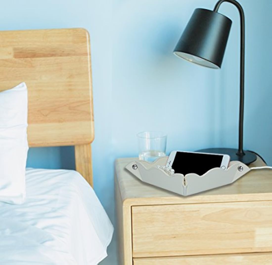 LISRSC - Bandeja de almacenamiento multifuncional de piel