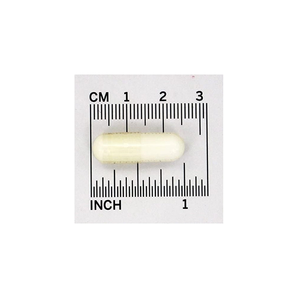 Suplemento Colina e inositol 500 mg - 100 cápsulas