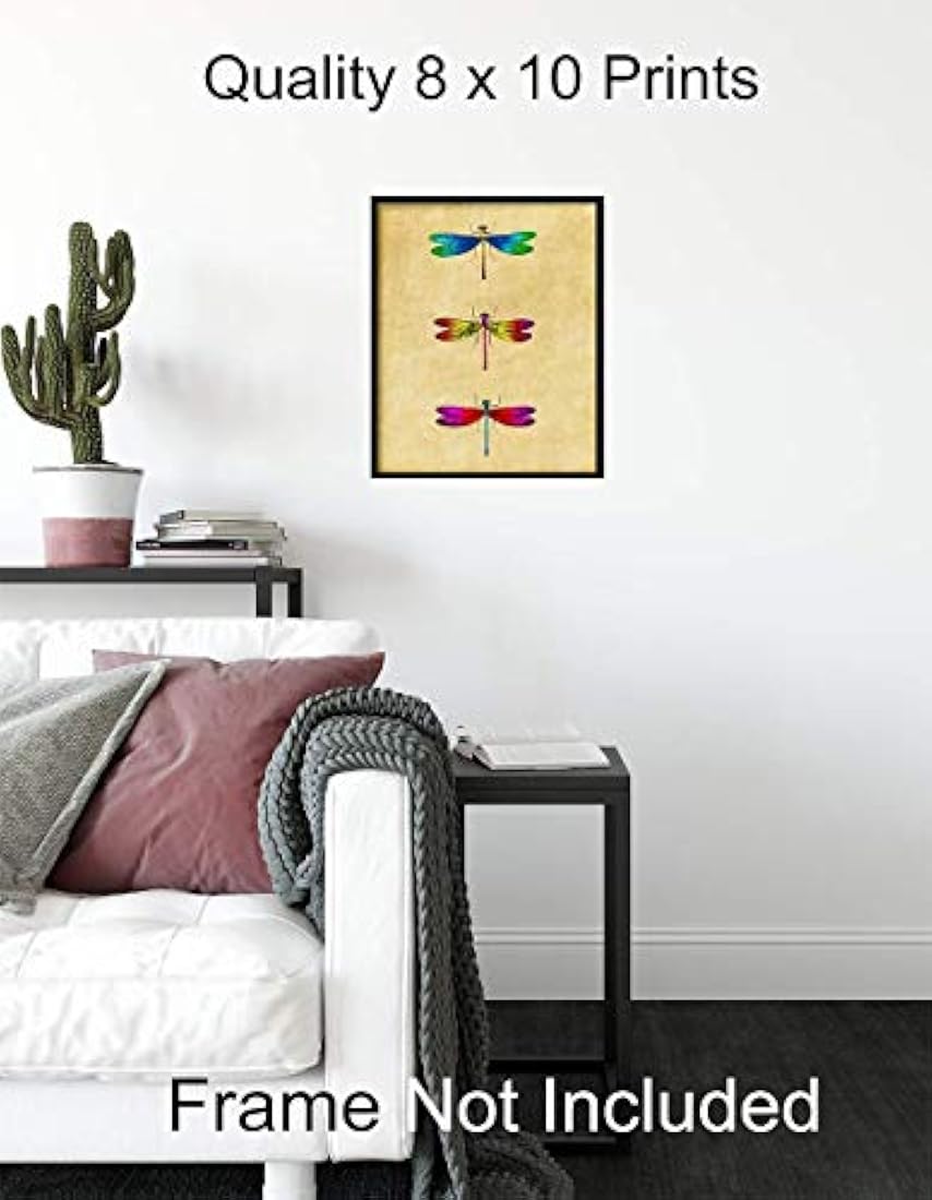 Decoraciones de habitaciones únicas