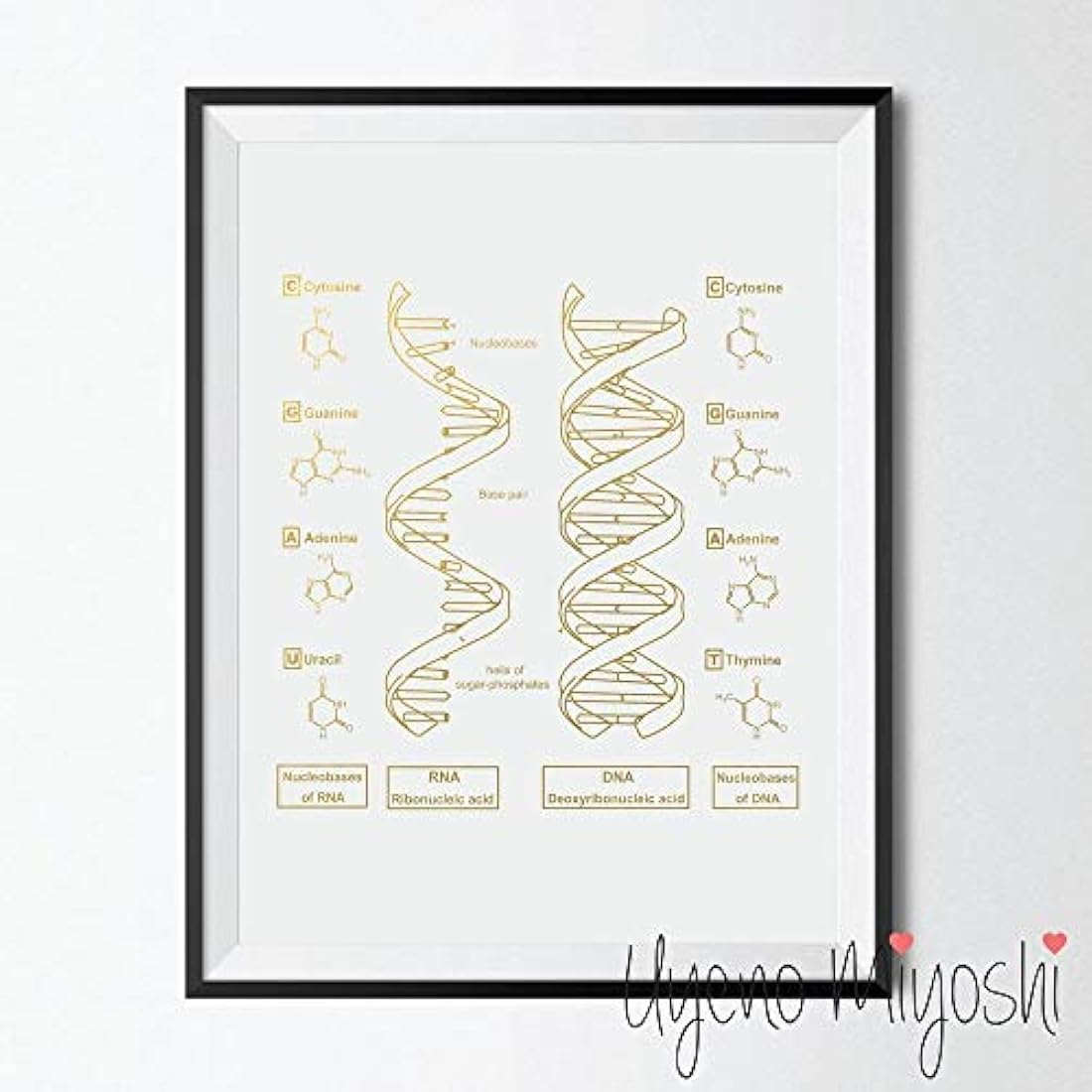 Cuadro de estructura molecular