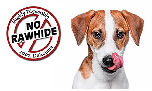 Masticables para perros sin cuero