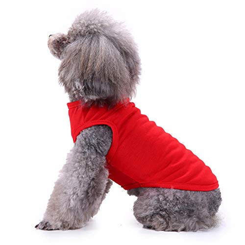 Camisetas para perro 2 unidades, talla pequeña
