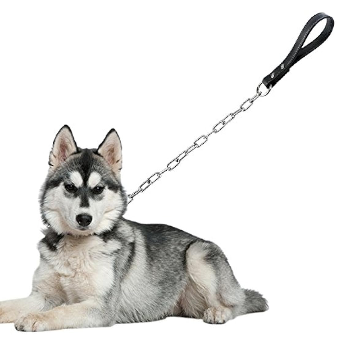 Correa de cadena par perro gigante