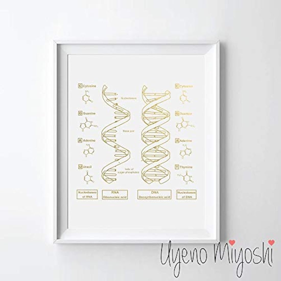 Cuadro de estructura molecular