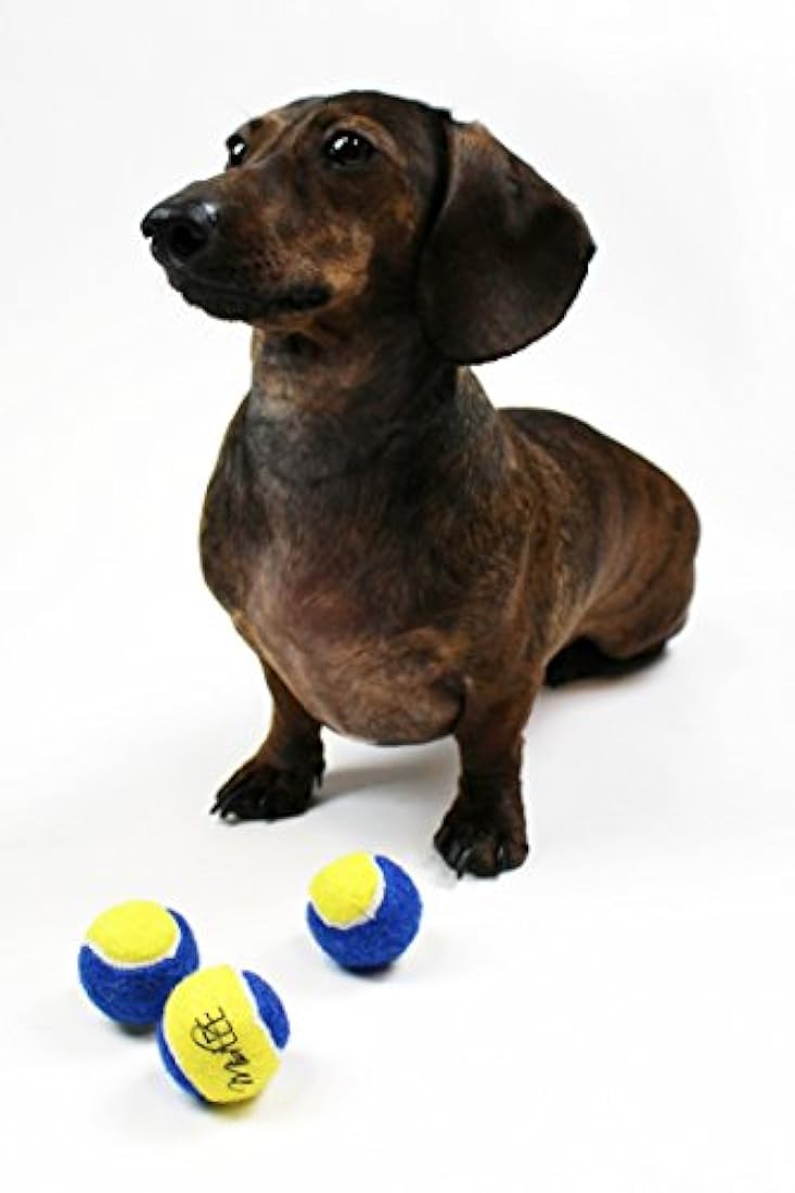 Midlee Pelotas de tenis para perro 1.5 in 12 unidades