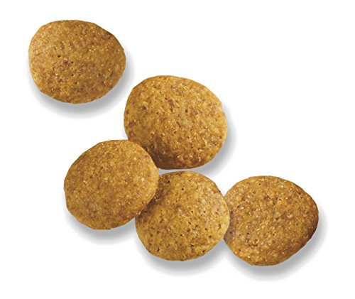 comida para razas grandes para adultos Alimentos