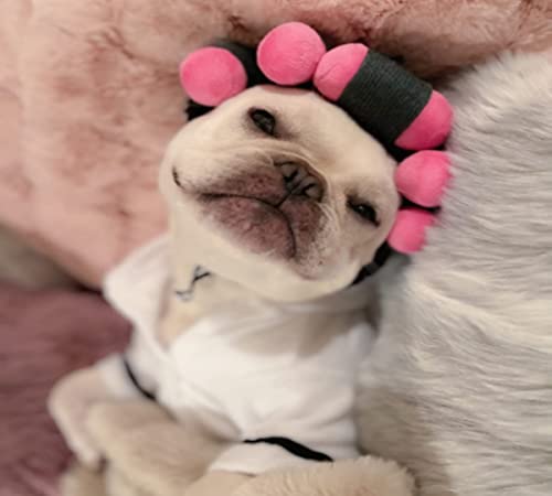 Dog Wig Curly Hair Dog Hat Pet Dog Costume Adjustable Dog Wigs for Small Dogs Cat Wig Funny Pet Hat Dog Head Wear Apparel Toy for Halloween, Parties and Photo Shoots