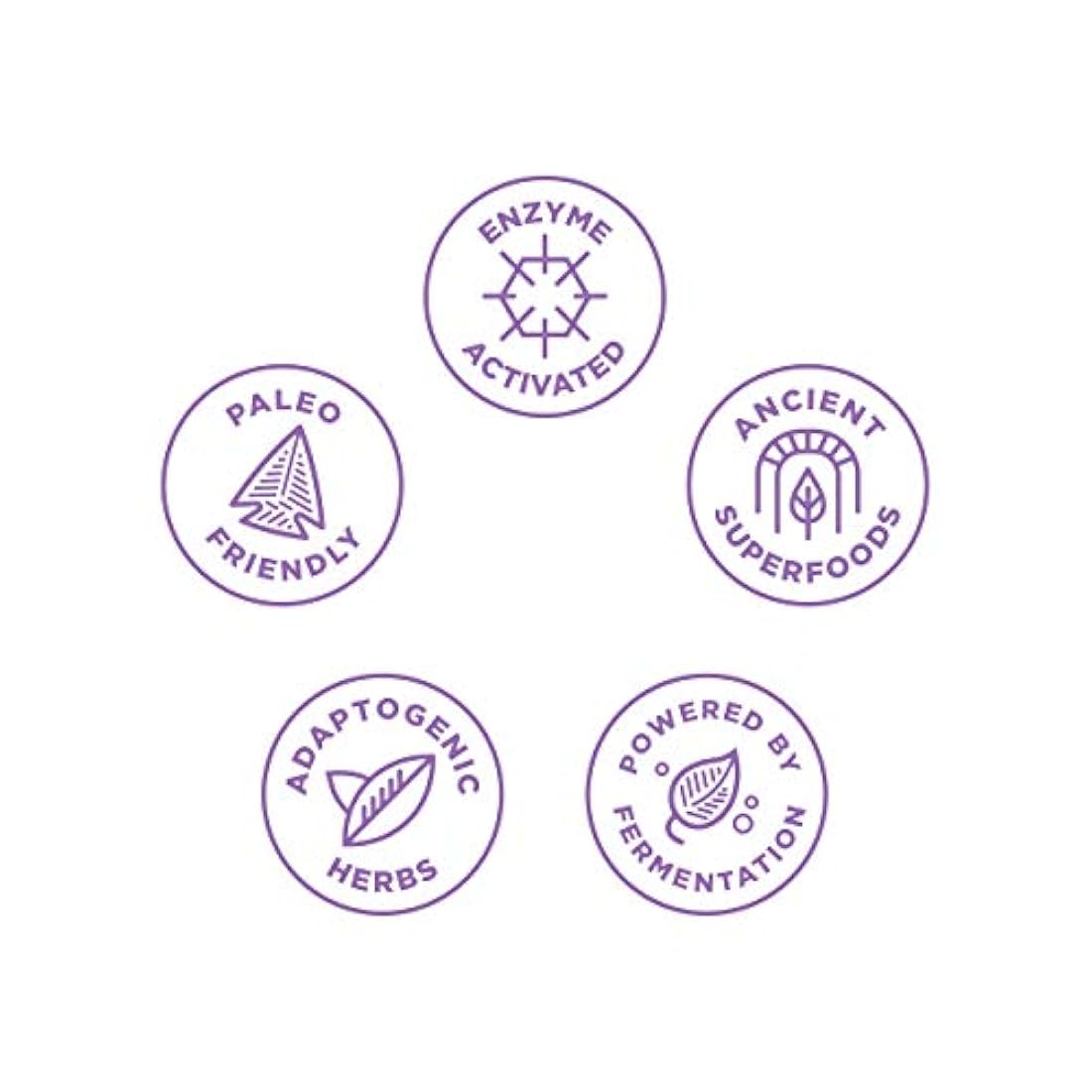 Nutrición Antigua, Nutrientes Antiguos Vitamina B-12 - Leer Alimentos, Hierbas Adaptogénicas, Activado Enzima, Paleo & Keto Friendly, 30 Cápsulas...