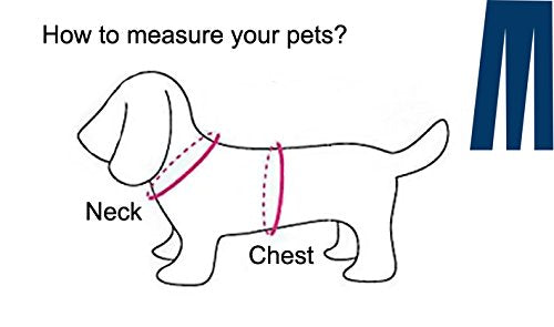 Disfraces para mascota talla S