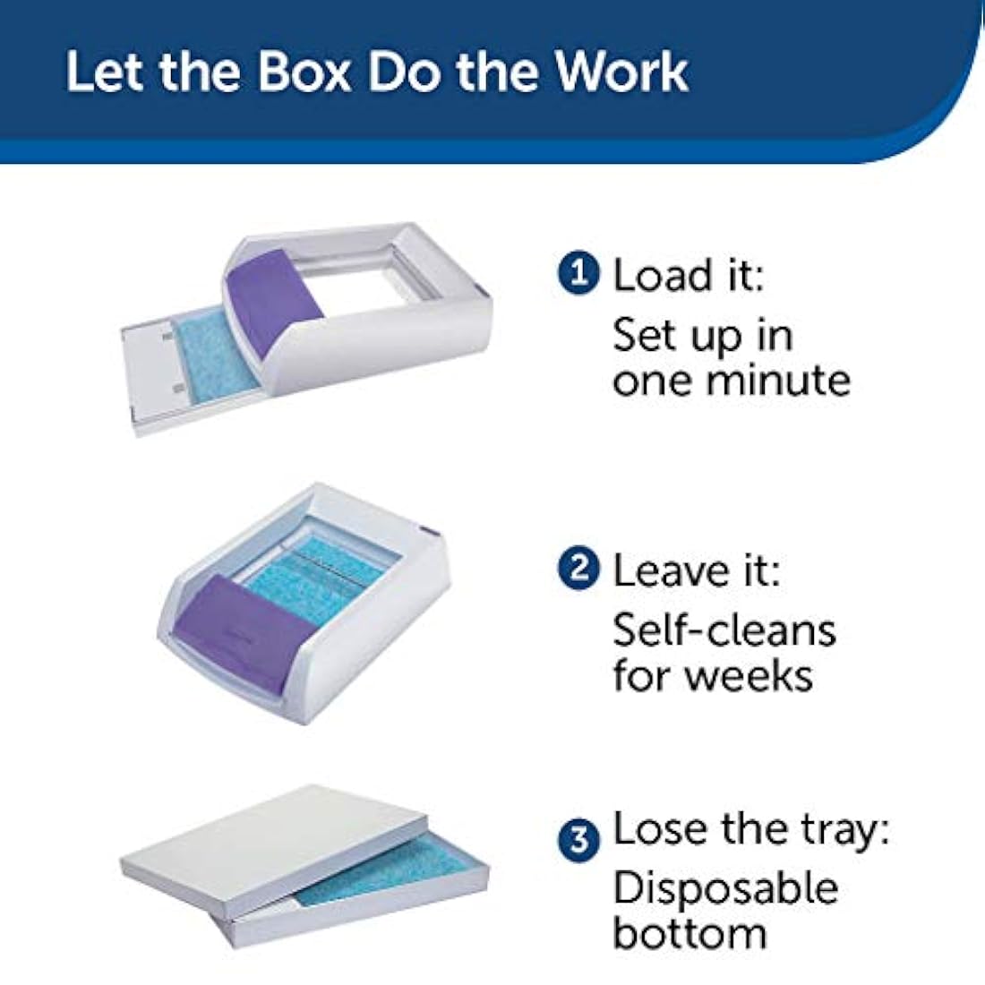 Arena para gatos de cristal.