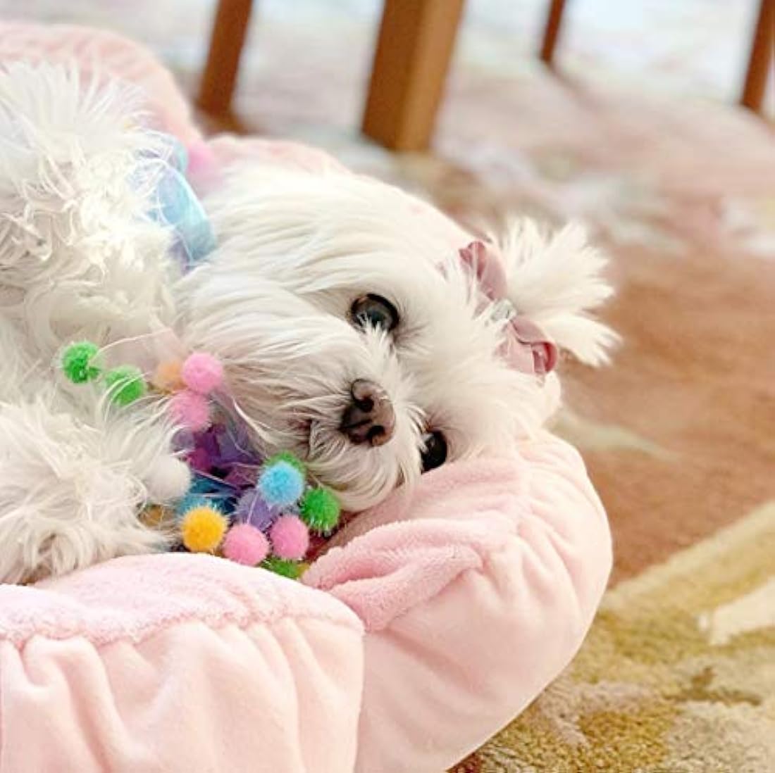 Cama de felpa suave de 61cm, perros y gatos, rosa pastel