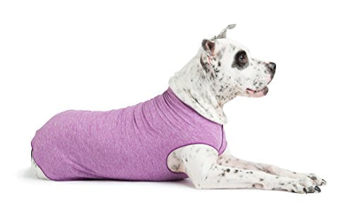 Camiseta para perro con protección UV, alivia la ansiedad de las mascotas, protege heridas, previene las colas de zorro, alopecia, lavable a máquina, para uso durante todas las estaciones, 12, Violeta