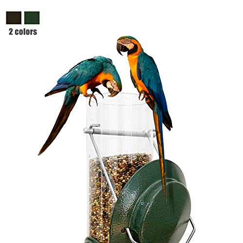 Alimentador de semillas para pájaros silvestres