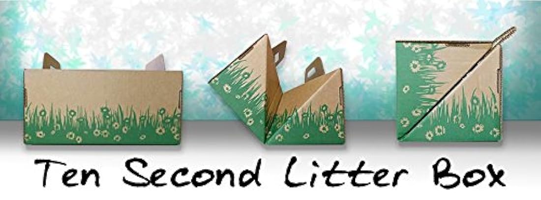 Cajas de arena de diez segundos para gatos