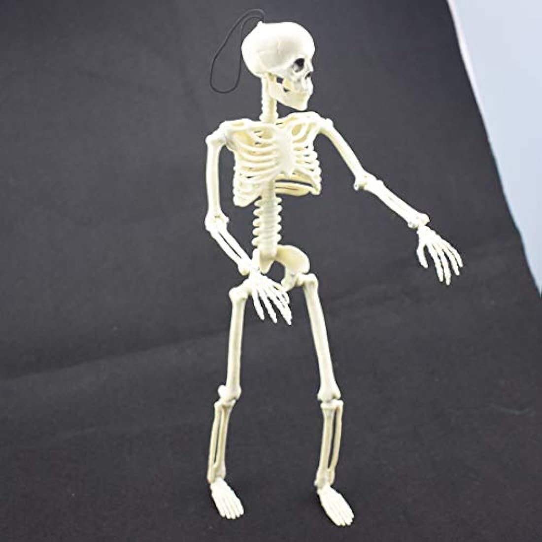 Esqueleto de Halloween de 16 pulgadas con articulaciones