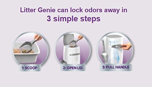 Sistema de eliminación de desechos de gato