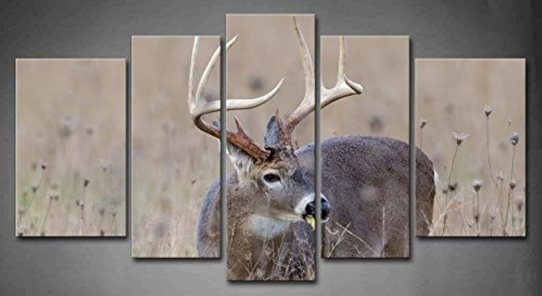 5 paneles de arte de pared de cola blanca de ciervo.