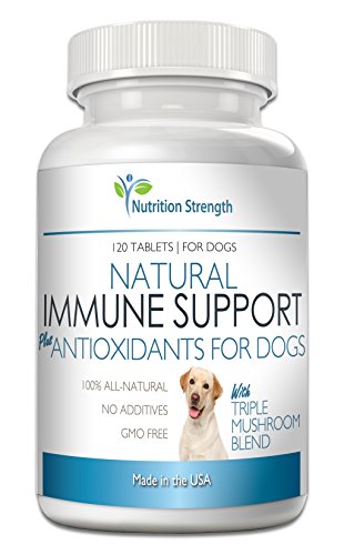 Support para perros más antioxidante 120 tabletas masticable