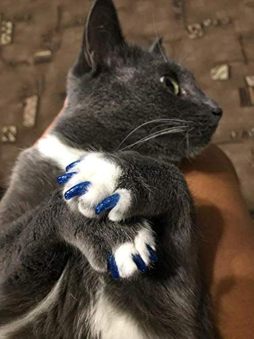 Tapones para uñas de gato para mascotas