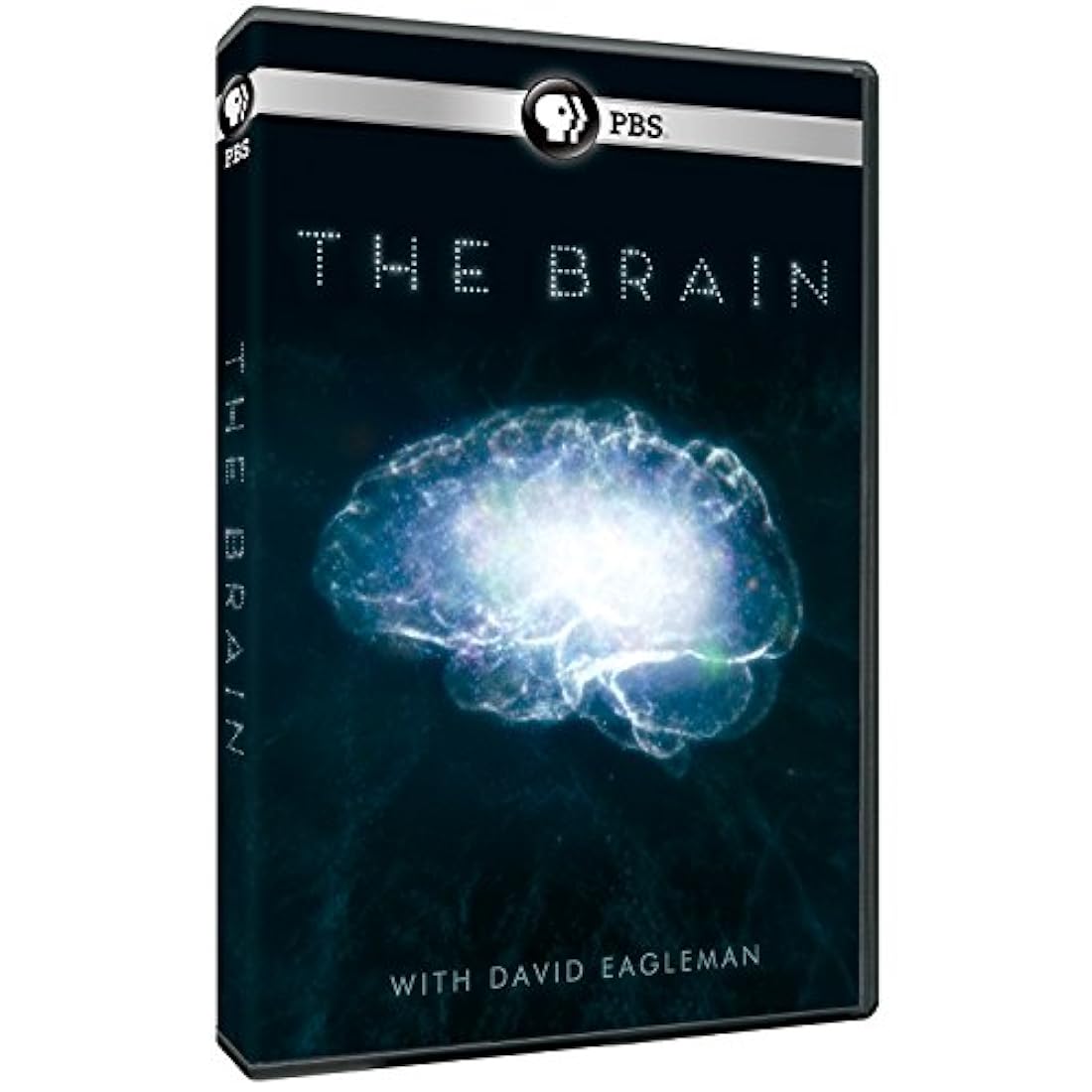 Cerebro con David Eagleman