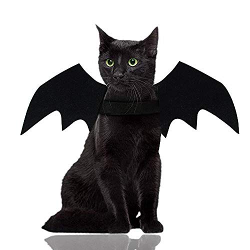 Malier Disfraz de Halloween para gatos, perros, mascotas, alas de murciélago