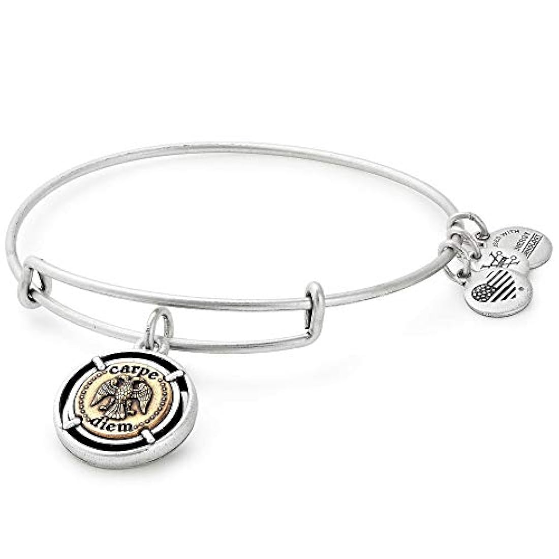 Pulsera brazalete Carpe Diem de dos tonos Alex and Ani