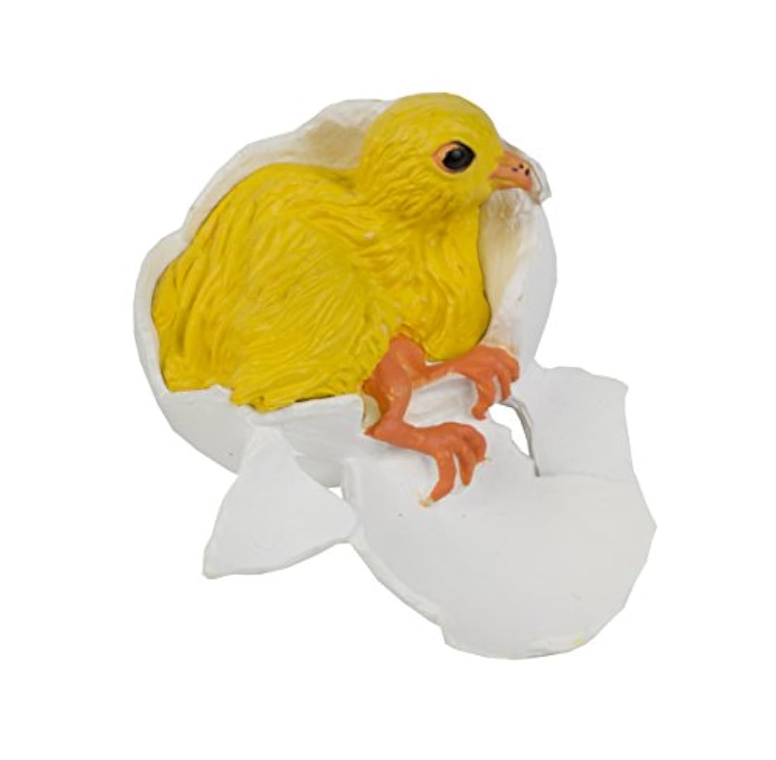 Safari Ltd - el ciclo de vida de un pollo