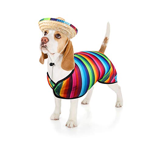 Sombrero para perro, poncho de serape para mascotas, disfraz divertido para perro, multicolor, ajustable, poncho mexicano, sombrero de paja, ropa de Chihuahua, para decoraciones de fiesta mexicana (pequeño)