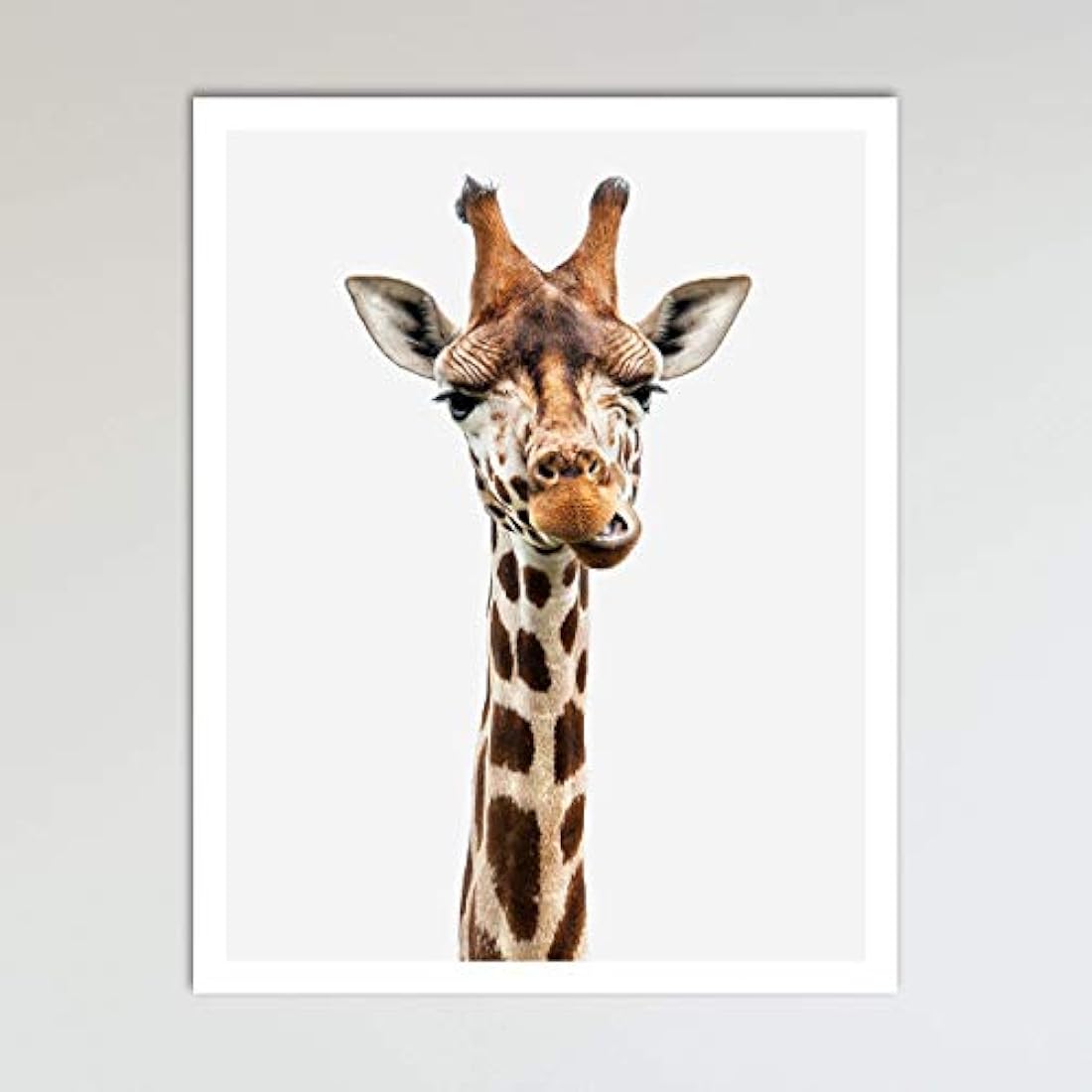 Decoración de pared neutra de animales