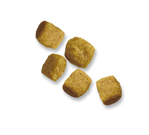 Fórmula de raza de juguete para adultos